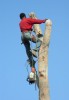 Disa Str - Hermanus - 023_s